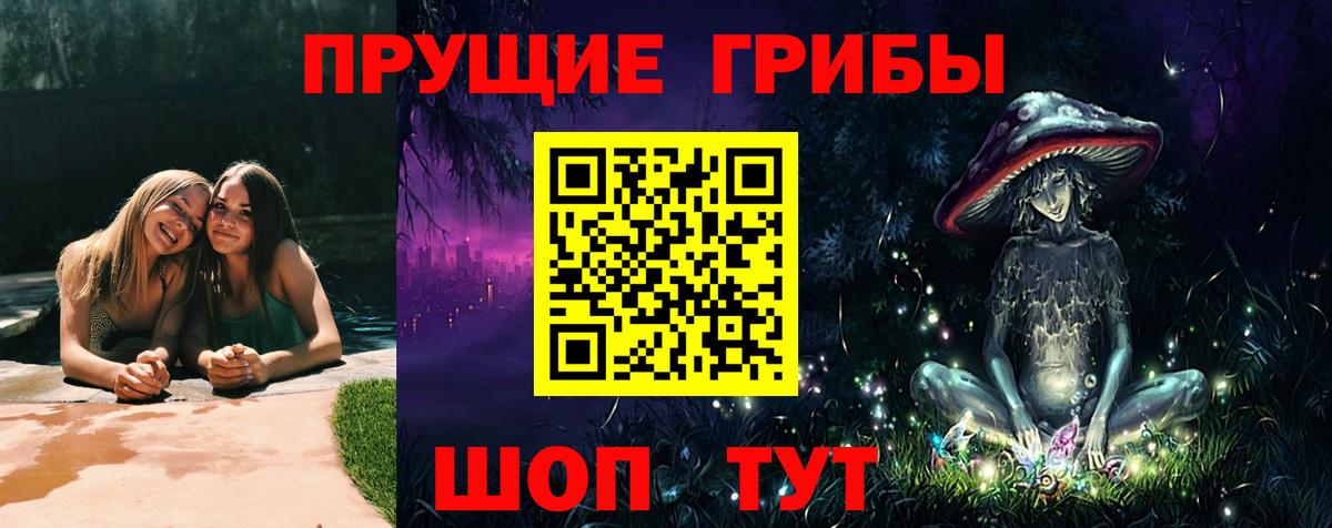 Соль-Илецк  Псилоцибиновые грибы Cubensis  наркошоп  Вход с VPN 